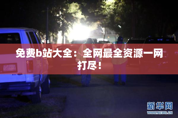 免费b站大全：全网最全资源一网打尽！