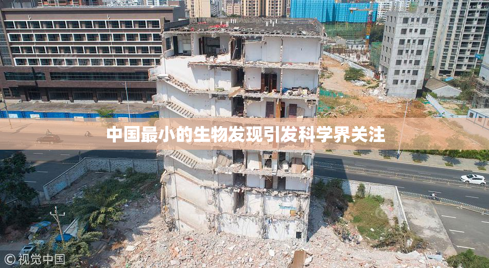 中国最小的生物发现引发科学界关注