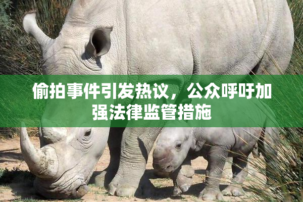 偷拍事件引发热议，公众呼吁加强法律监管措施