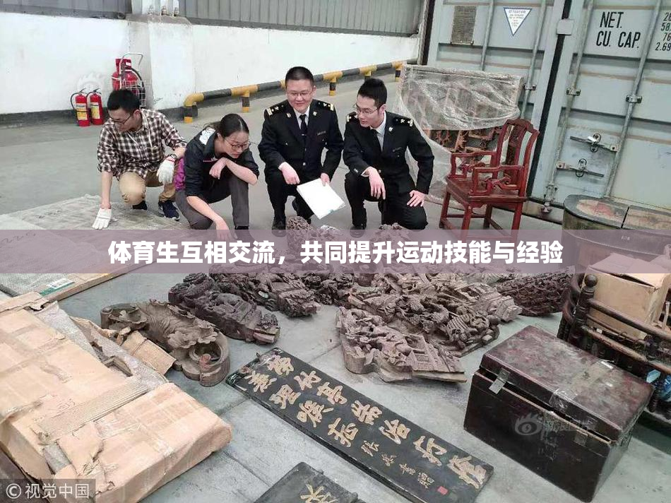 体育生互相交流，共同提升运动技能与经验