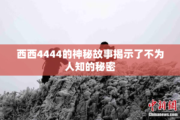 西西4444的神秘故事揭示了不为人知的秘密