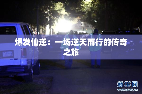 爆发仙逆：一场逆天而行的传奇之旅