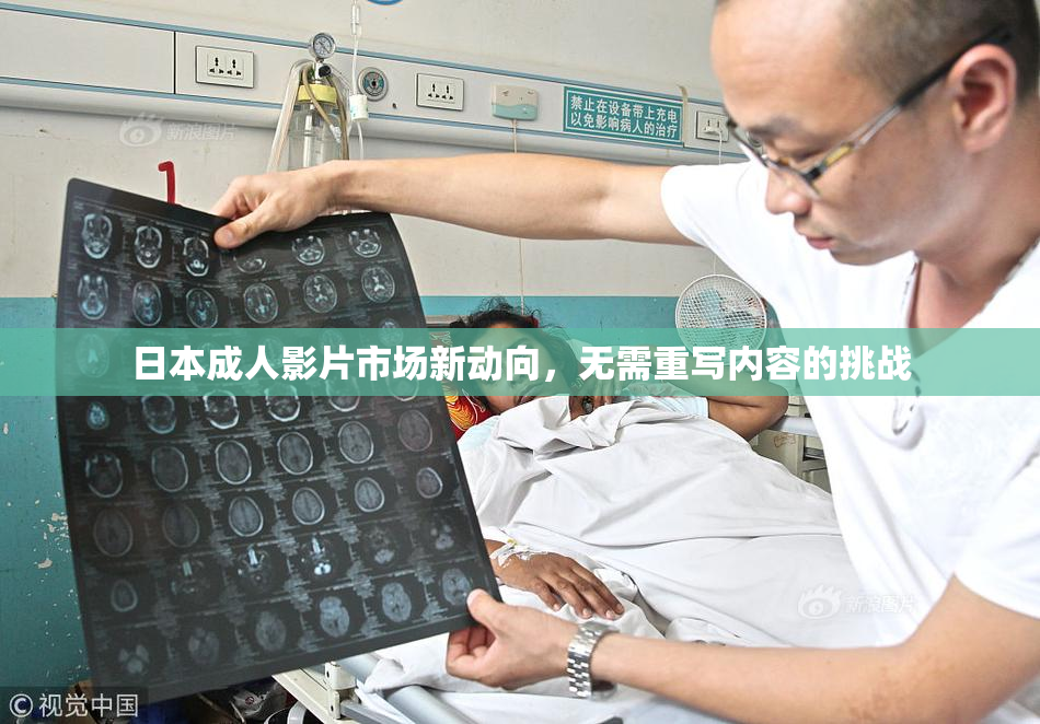 日本成人影片市场新动向，无需重写内容的挑战