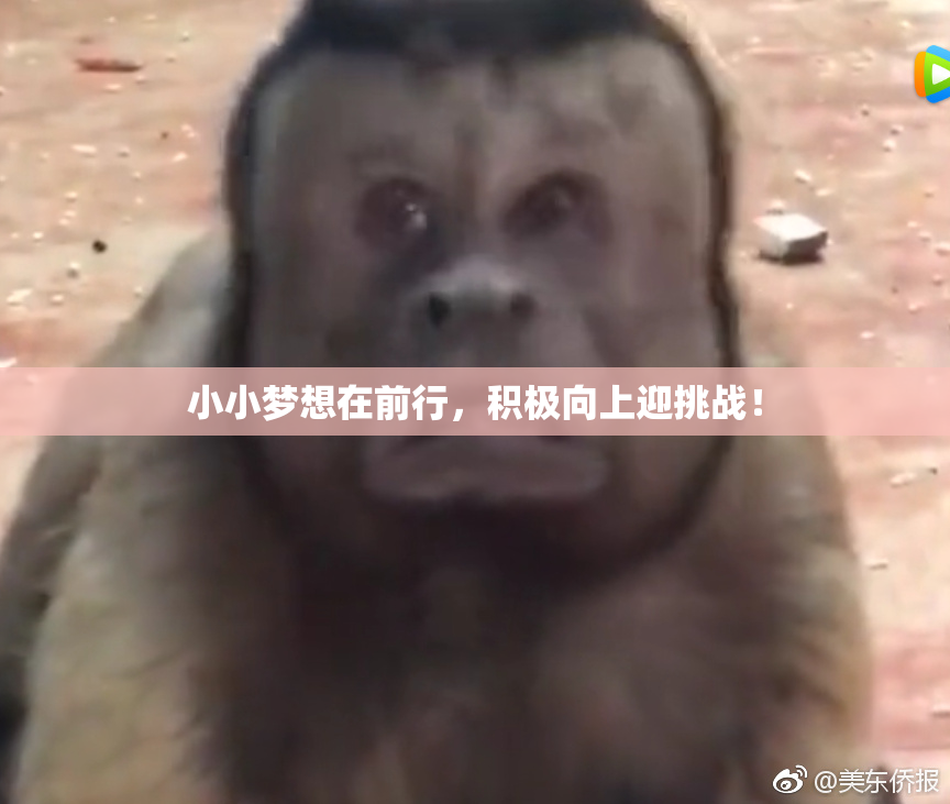 小小梦想在前行，积极向上迎挑战！