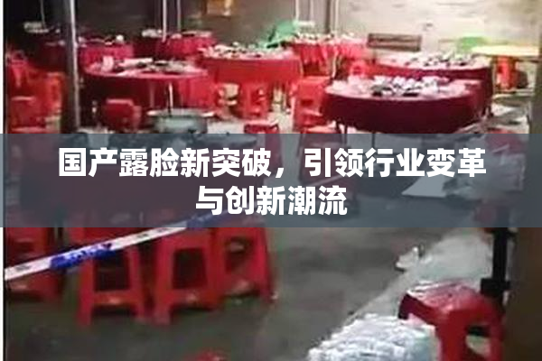 国产露脸新突破，引领行业变革与创新潮流