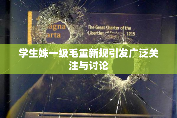学生姝一级毛重新规引发广泛关注与讨论