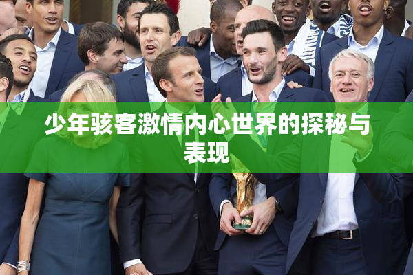 少年骇客激情内心世界的探秘与表现
