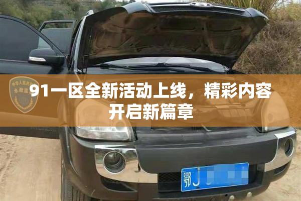 91一区全新活动上线，精彩内容开启新篇章