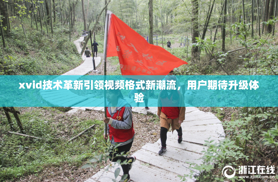 xvid技术革新引领视频格式新潮流，用户期待升级体验