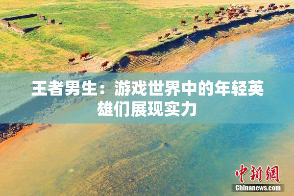王者男生：游戏世界中的年轻英雄们展现实力