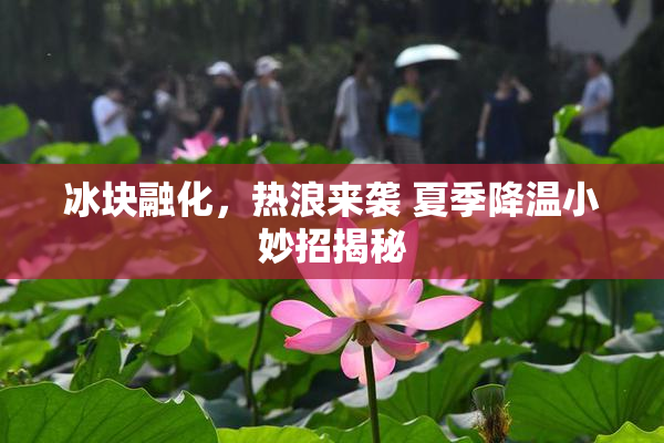 冰块融化，热浪来袭 夏季降温小妙招揭秘