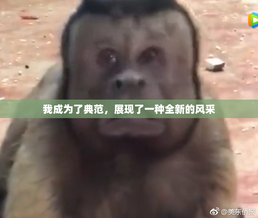 我成为了典范，展现了一种全新的风采