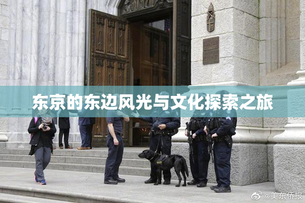 东京的东边风光与文化探索之旅