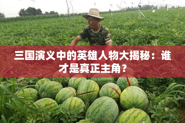 三国演义中的英雄人物大揭秘：谁才是真正主角？