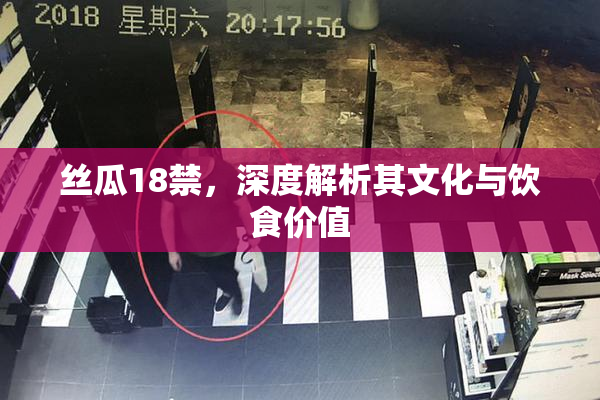 丝瓜18禁，深度解析其文化与饮食价值