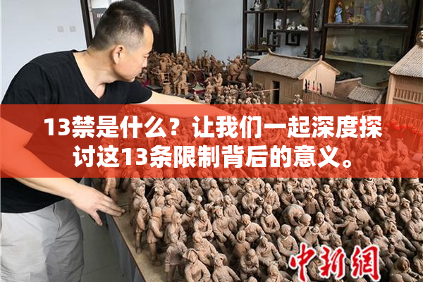 13禁是什么？让我们一起深度探讨这13条限制背后的意义。