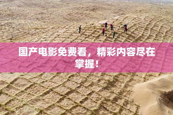 国产电影免费看，精彩内容尽在掌握！