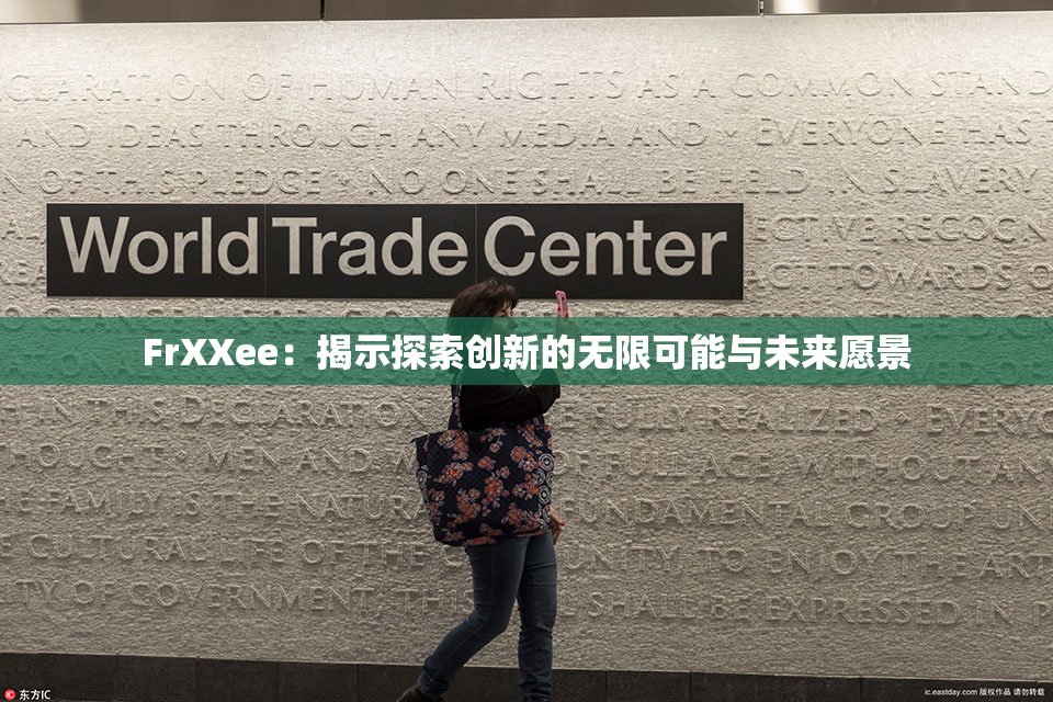 FrXXee：揭示探索创新的无限可能与未来愿景