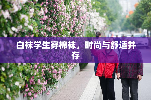 白袜学生穿棉袜，时尚与舒适并存