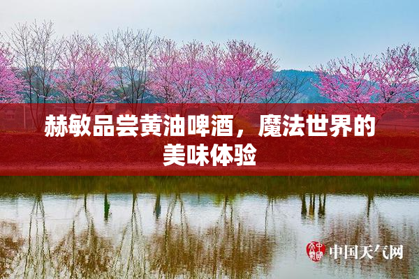 赫敏品尝黄油啤酒，魔法世界的美味体验