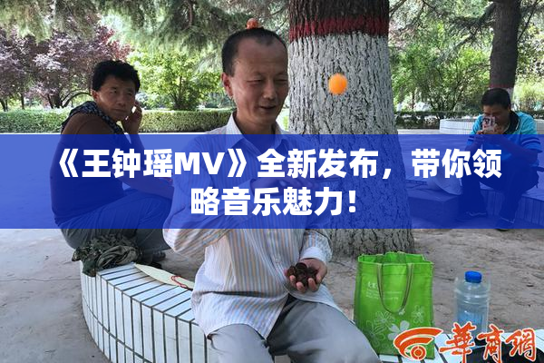 《王钟瑶MV》全新发布，带你领略音乐魅力！