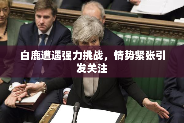 白鹿遭遇强力挑战，情势紧张引发关注