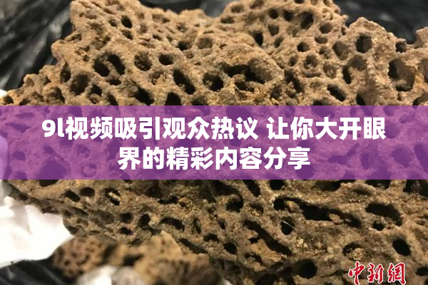 9l视频吸引观众热议 让你大开眼界的精彩内容分享