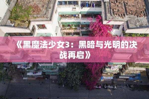 《黑魔法少女3：黑暗与光明的决战再启》