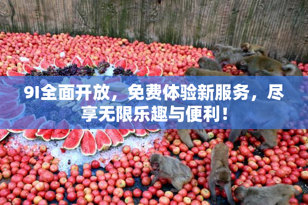 9I全面开放，免费体验新服务，尽享无限乐趣与便利！