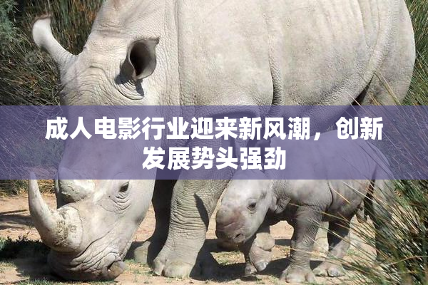 成人电影行业迎来新风潮，创新发展势头强劲