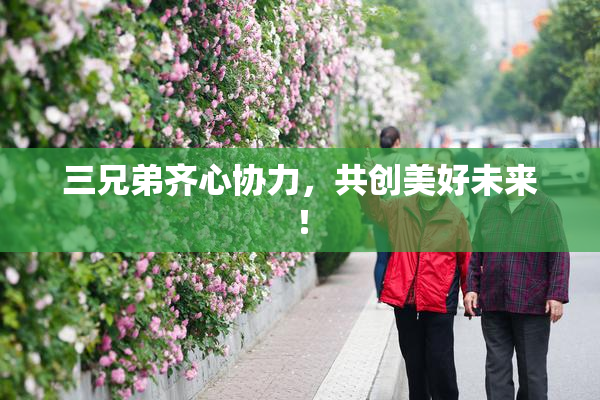 三兄弟齐心协力，共创美好未来！