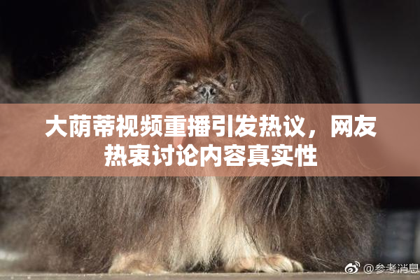 大荫蒂视频重播引发热议，网友热衷讨论内容真实性