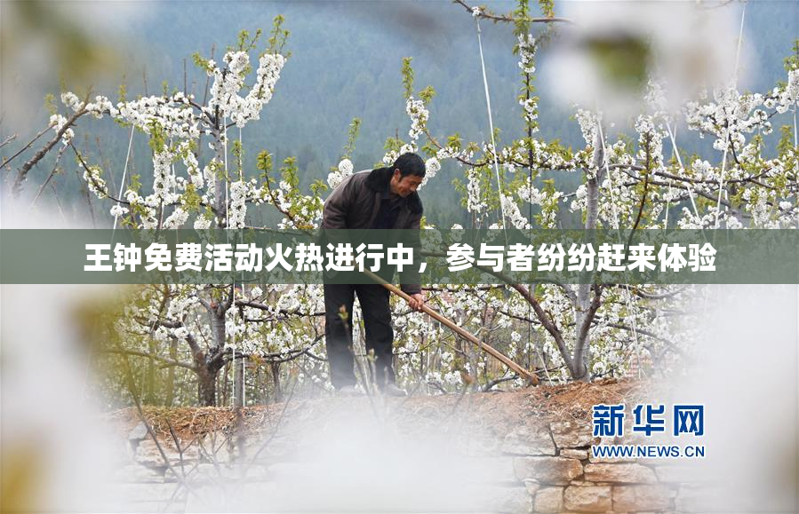 王钟免费活动火热进行中，参与者纷纷赶来体验