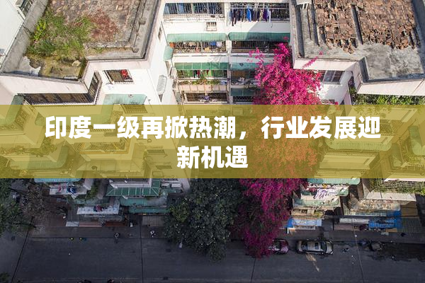 印度一级再掀热潮，行业发展迎新机遇