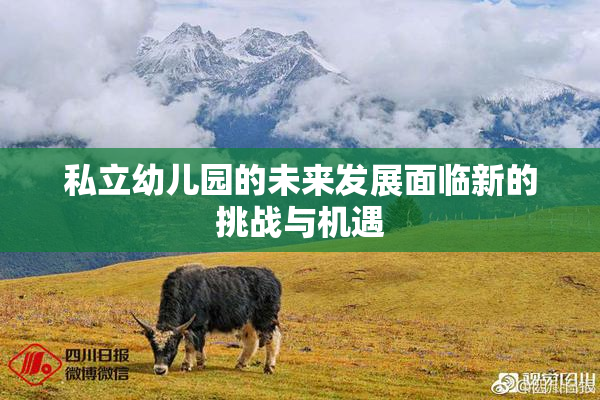 私立幼儿园的未来发展面临新的挑战与机遇