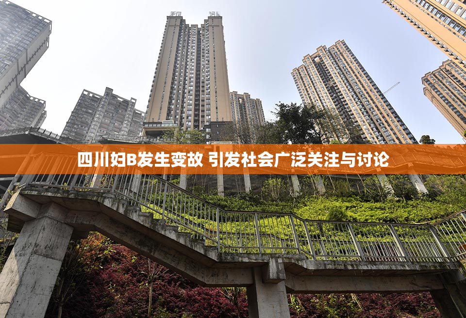 四川妇B发生变故 引发社会广泛关注与讨论
