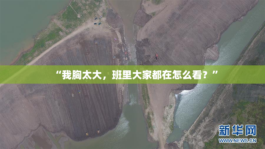 “我胸太大，班里大家都在怎么看？”