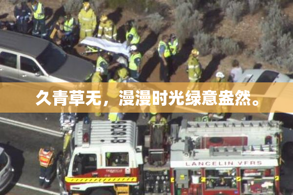久青草无，漫漫时光绿意盎然。