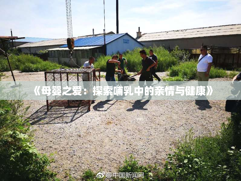 《母婴之爱：探索哺乳中的亲情与健康》