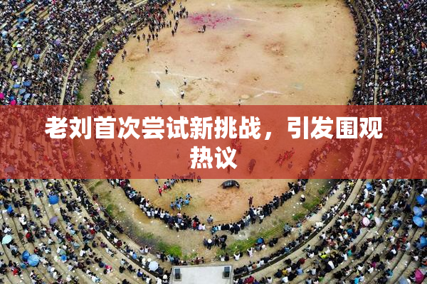 老刘首次尝试新挑战，引发围观热议