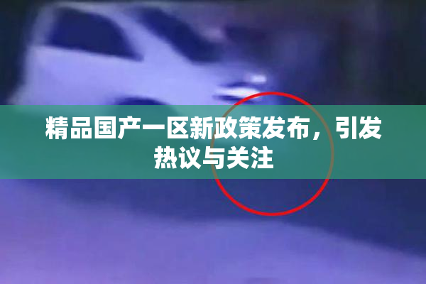 精品国产一区新政策发布，引发热议与关注