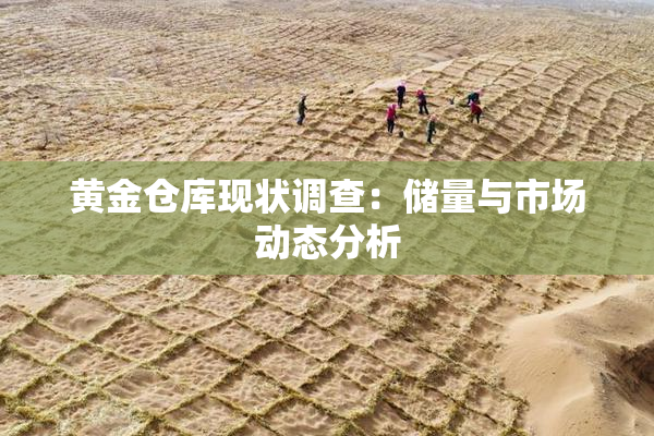 黄金仓库现状调查：储量与市场动态分析