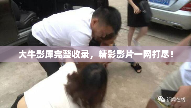 大牛影库完整收录，精彩影片一网打尽！