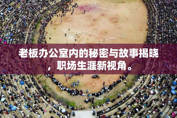 老板办公室内的秘密与故事揭晓，职场生涯新视角。