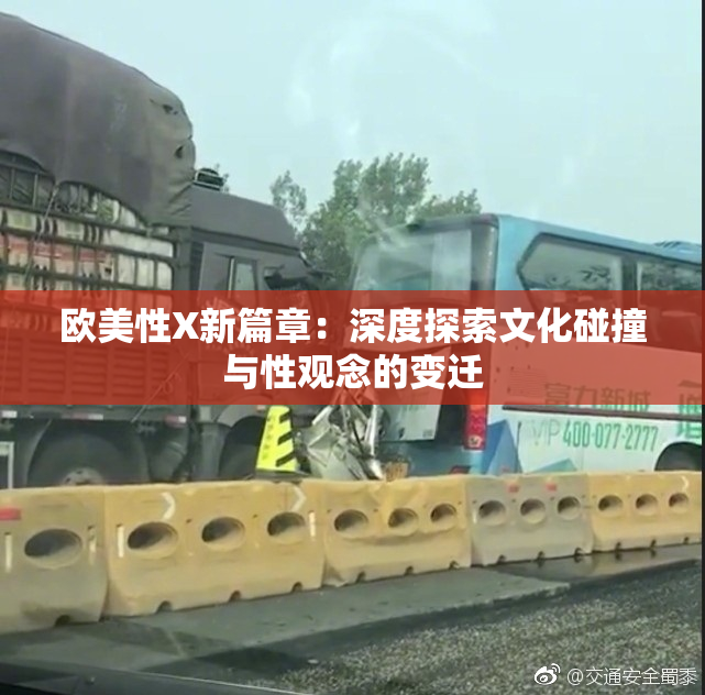 欧美性X新篇章：深度探索文化碰撞与性观念的变迁