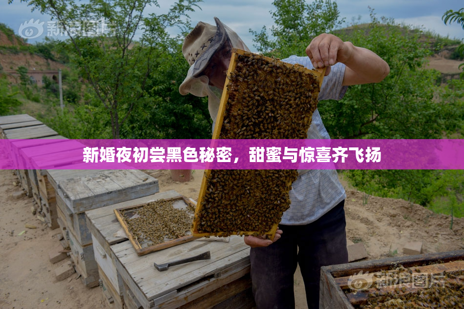 新婚夜初尝黑色秘密，甜蜜与惊喜齐飞扬
