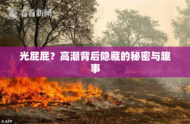 光屁屁？高潮背后隐藏的秘密与趣事