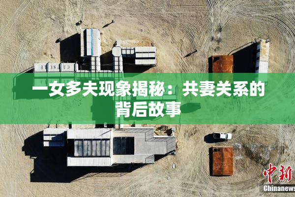 一女多夫现象揭秘：共妻关系的背后故事