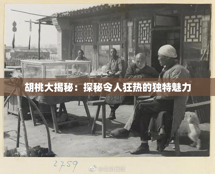 胡桃大揭秘：探秘令人狂热的独特魅力