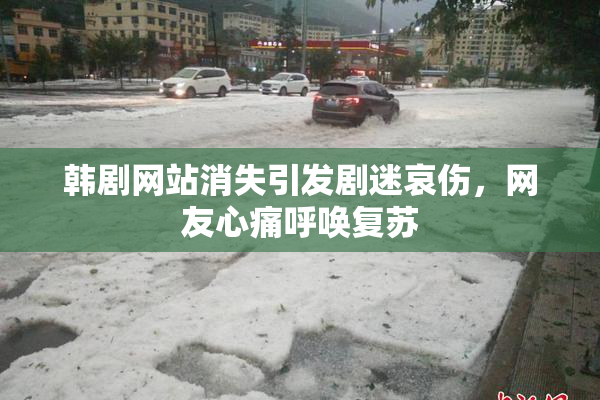 韩剧网站消失引发剧迷哀伤，网友心痛呼唤复苏